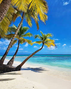 Sunset Caribbean