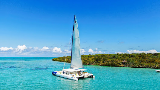 Unique Tours Jamaica