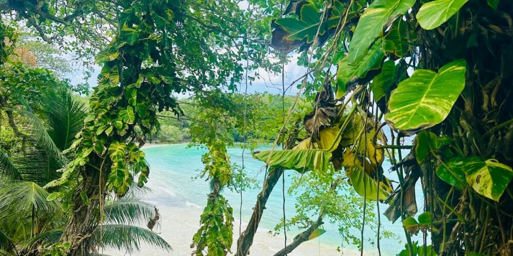 Off the Beaten Path Jamaica