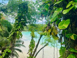 Off the Beaten Path Jamaica