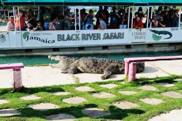 J. Charles Swaby's Black River Safari