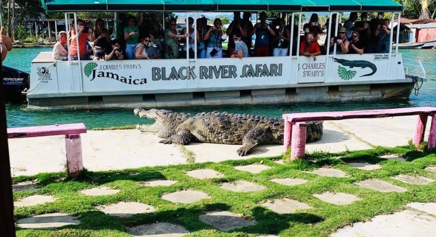 J. Charles Swaby's Black River Safari