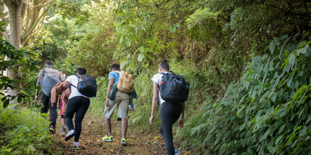 Best Hiking Trails in Jamaica - The Ultimate Guide to the Island's Most Scenic Adventures