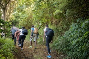 Best Hiking Trails in Jamaica - The Ultimate Guide to the Island's Most Scenic Adventures