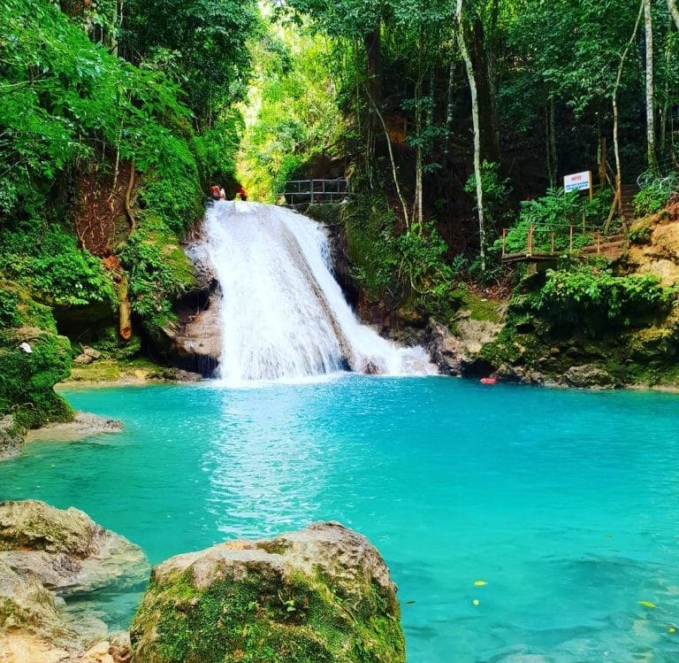 Best Hiking Trails in Jamaica - The Ultimate Guide to the Island's Most Scenic Adventures
