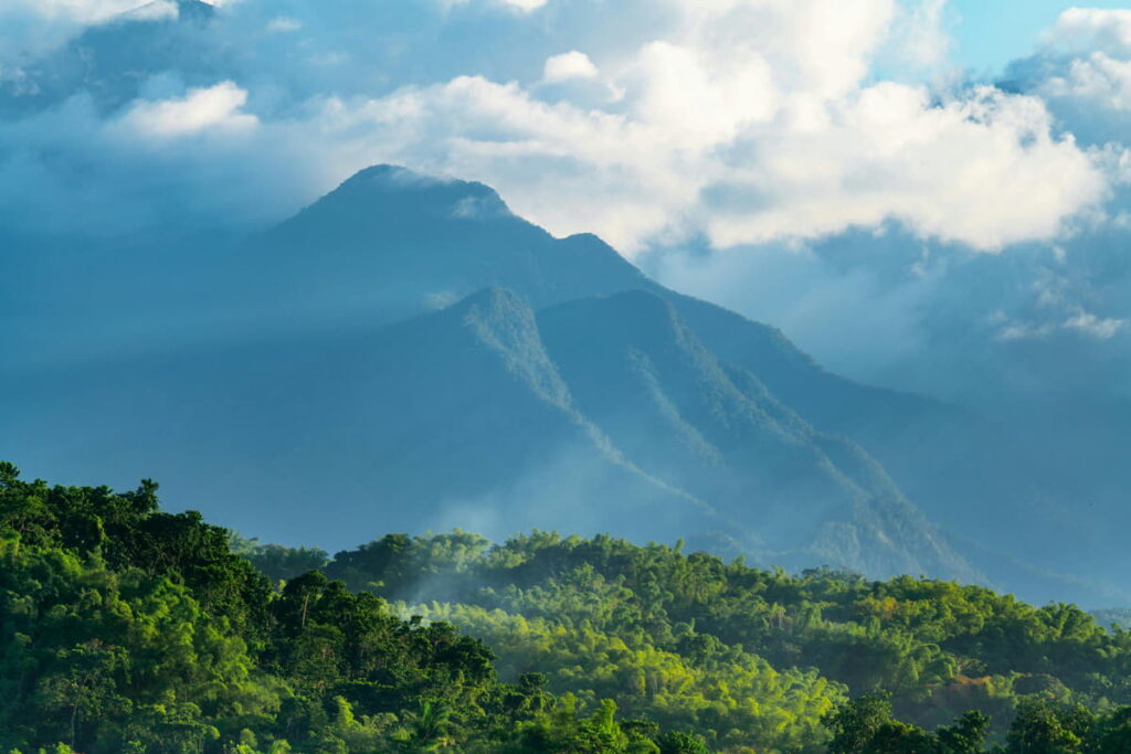 Best Hiking Trails in Jamaica - The Ultimate Guide to the Island's Most Scenic Adventures