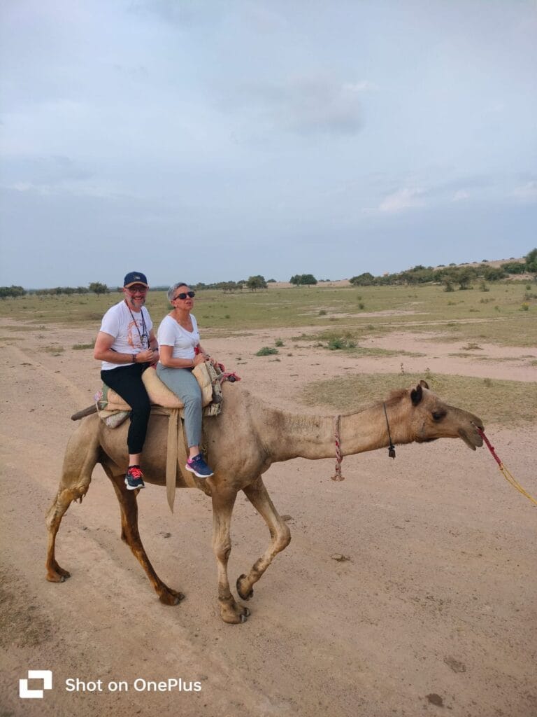 7 Days in Rajasthan, A First-Time Traveler’s Guide to Udaipur, Jodhpur and Jaisalmer