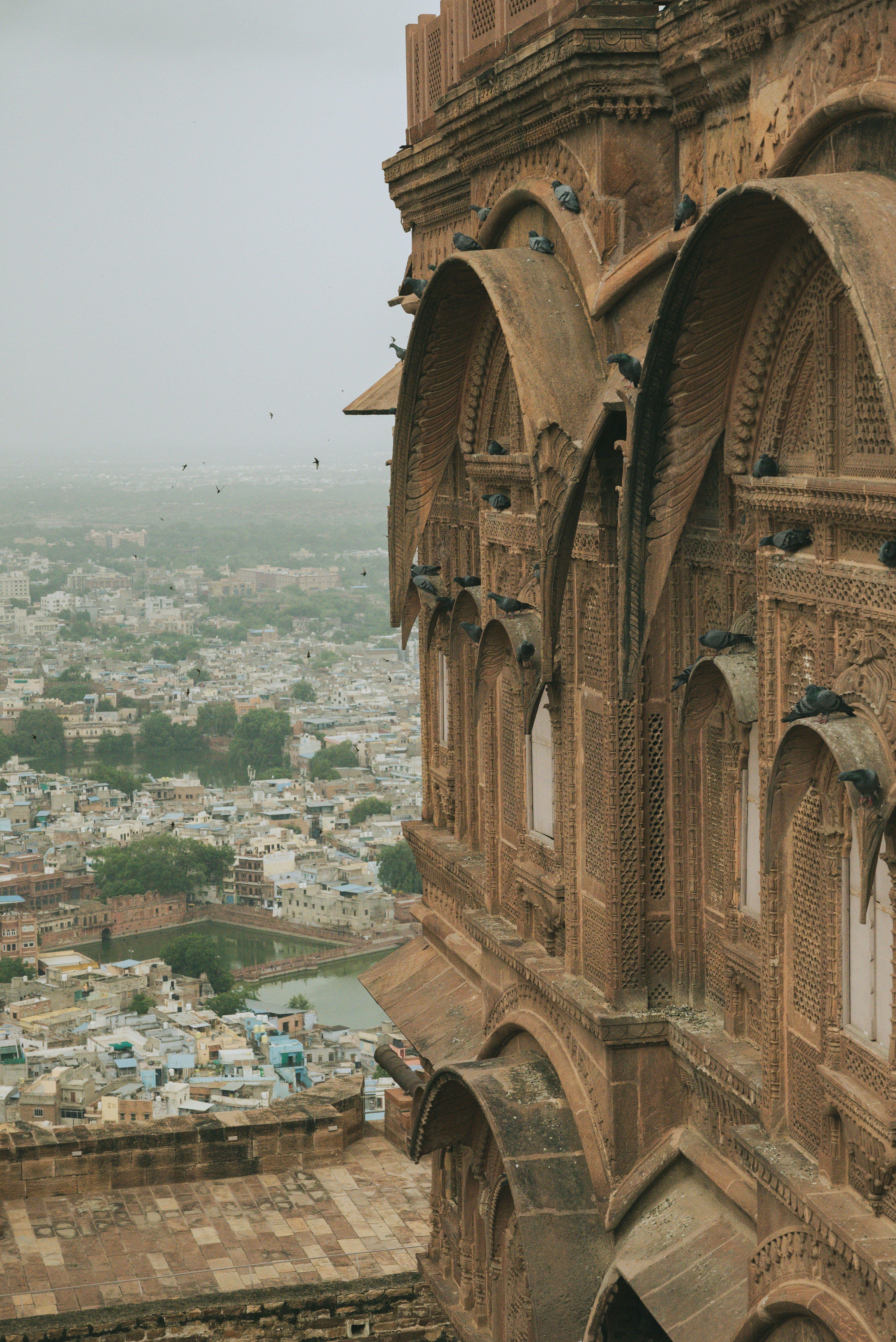 7 Days in Rajasthan, A First-Time Traveler’s Guide to Udaipur, Jodhpur and Jaisalmer