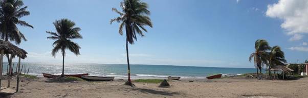 Alligator Pond Beach, Manchester