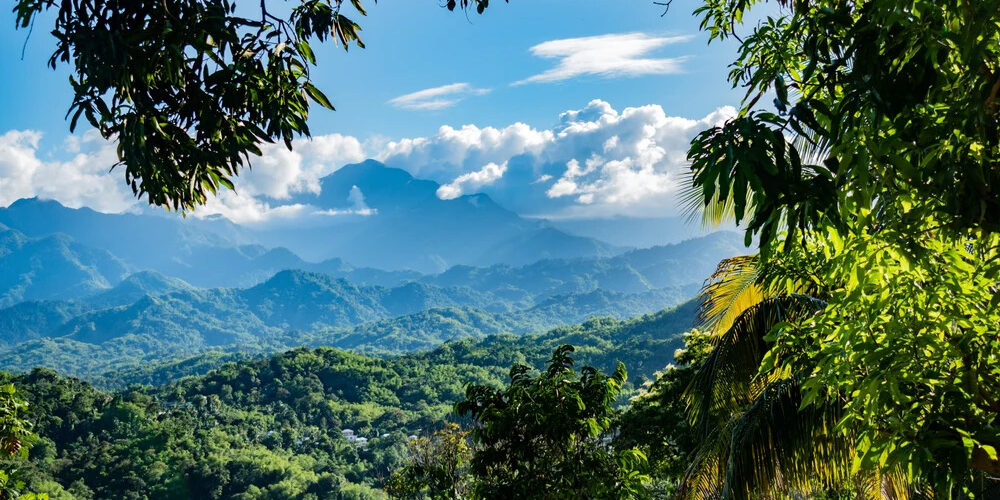 Blue Mountains Jamaica Travel Guide Hiking Coffee Waterfalls & Hidden Adventures Above the Clouds