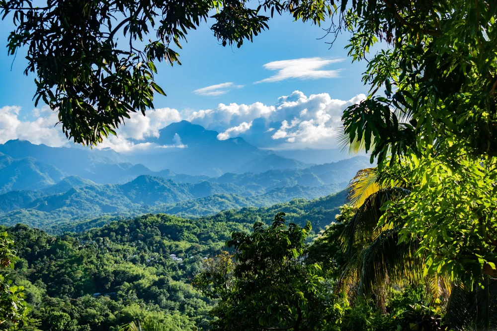 Blue Mountains Jamaica Travel Guide Hiking Coffee Waterfalls & Hidden Adventures Above the Clouds